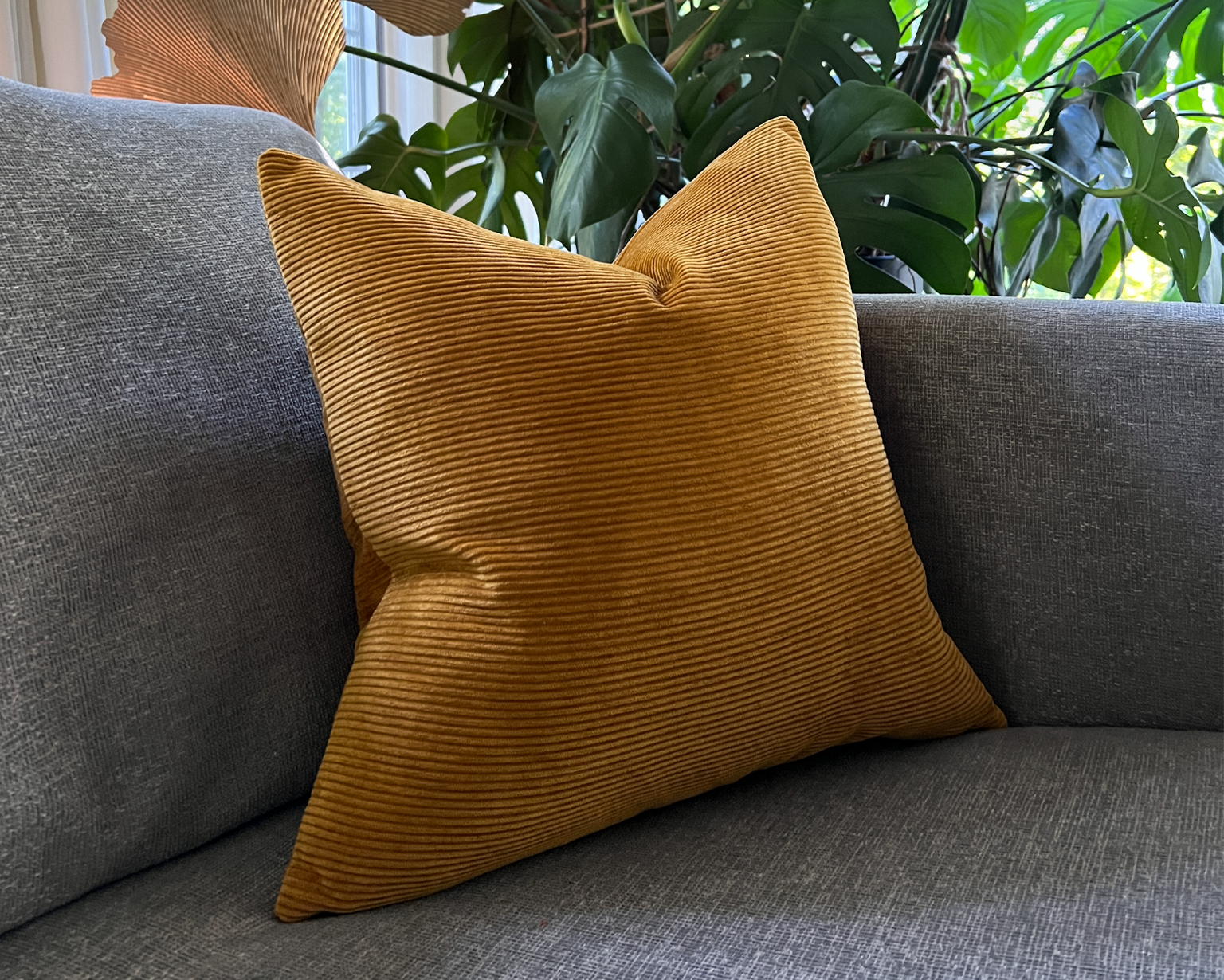 Bahia, Spice Velvet