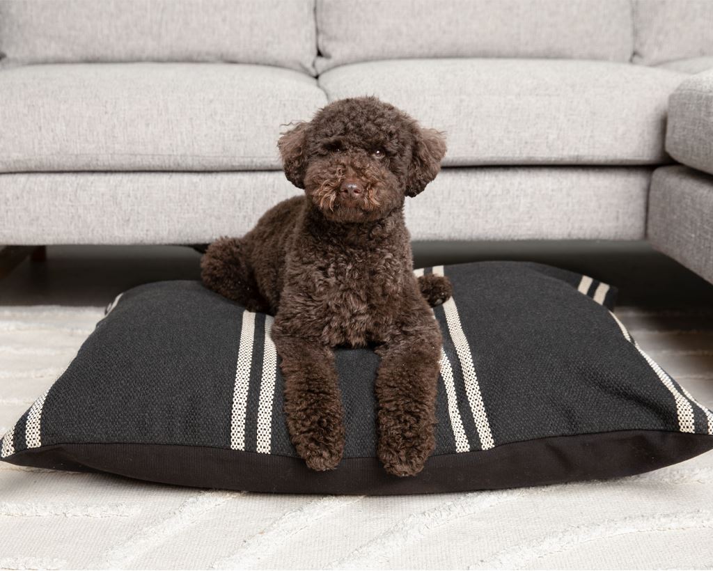 Lehigh, Pet Cushion Pet Cushions Coterie Brooklyn 