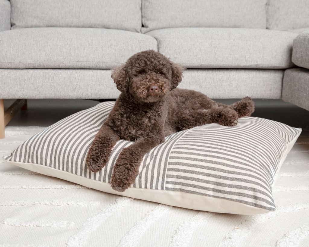 Perth, Pet Cushion Pet Cushions Coterie Brooklyn 